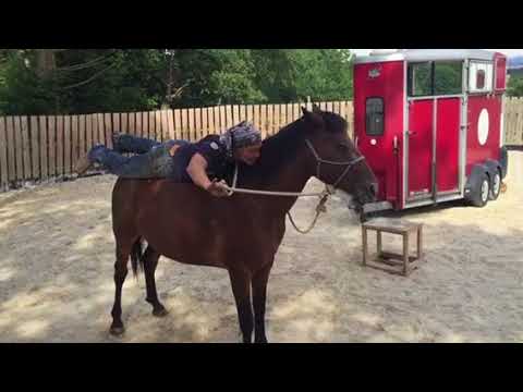 MUSTANG MAKEOVER 2018 Team Jan (TAG 3909) - Update 6