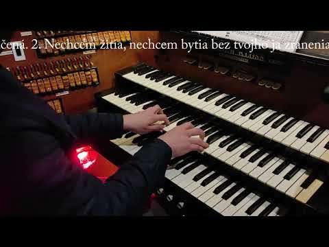 JKS 135 - Často drahé rany sväté (Dóm sv. Alžbety)