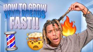 How to Grow Your Dreads Fast