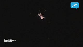 Beautiful Leaves| Royal Fireworks | Vuurwerkforum.nl