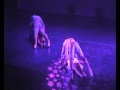 My Immortal Evanescence Miskin Dance 