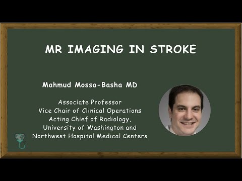 MR Imaging in Stroke