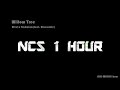Rival x Cadmium - Willow Tree (feat. Rosendale)  [NCS Release]  -【1 HOUR】-【NO ADS】