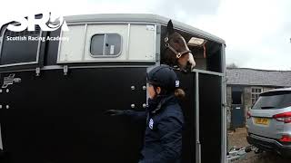 Your Guide to Travelling Horses (Part 3): Loading & Unloading from a Trailer ft. Sergeant Pink