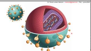 Aula Imunologia-Imunodeficiências Parte A (ID adquiridas - Infecção por HIV)