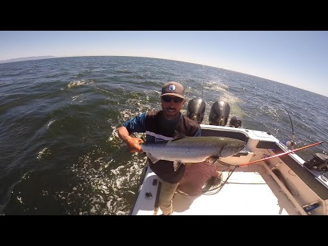 INSANE Fishing with Lucky Strike in Tofino, BC