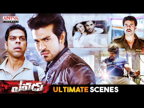 Yevadu Telugu Movie Scenes | Ram Charan | Shruti Haasan | Amy Jackson | Aditya Cinemalu