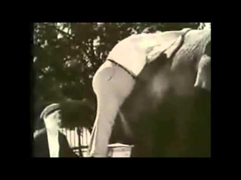 Canção de Lisboa Vasco Santana "Trinta e três"