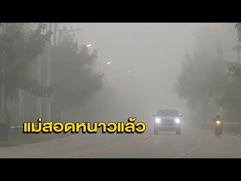 ภาพโรคสะเก็ดเงินครีม การเยียวยาชาวบ้านมีอาการคันจากโรคสะเก็ดเงิน