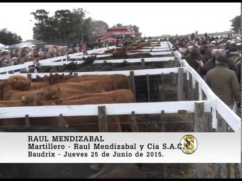 25-06-15 Nota a Raul Mendizabal - Santa Sergia - Baudrix