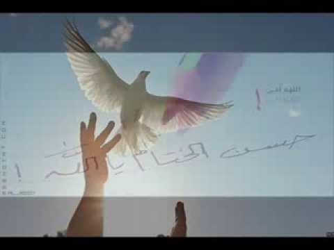 Khalid_saad10’s Video 131538669582 _Zv22TaFMS8