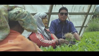 Deforestasi Tanpa Konservasi