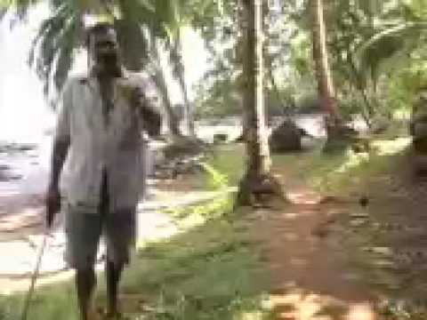 How to eat a fresh coconut