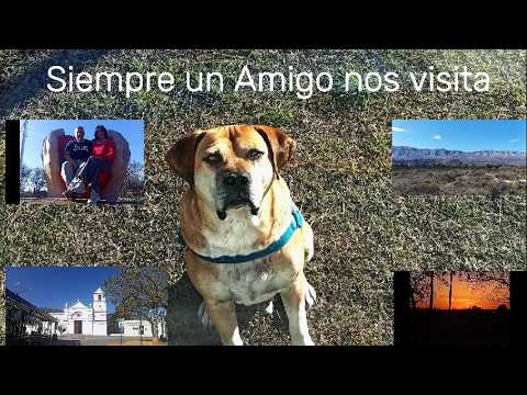Siempre un amigo nos visita