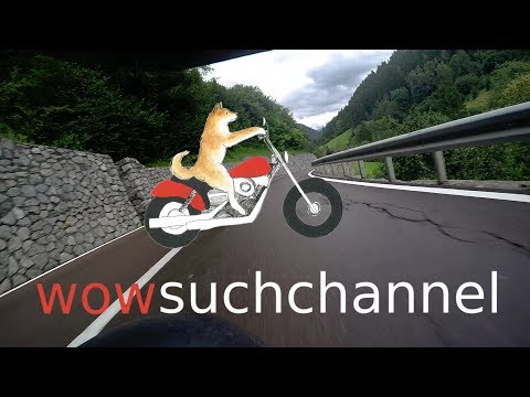 Whoopie Cat - Taken My Money [BLUES]