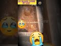 Qabar Ma Ajab Islamic Video 100k Shorts Qubar