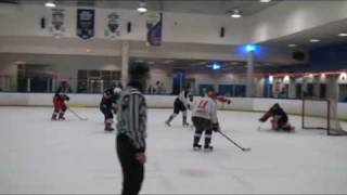 You Pod Camera Stabilizer shoots hockey plus