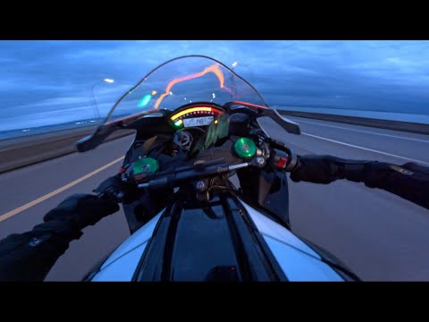 RARE.NOBODY - Fearless Pt II (Tule)