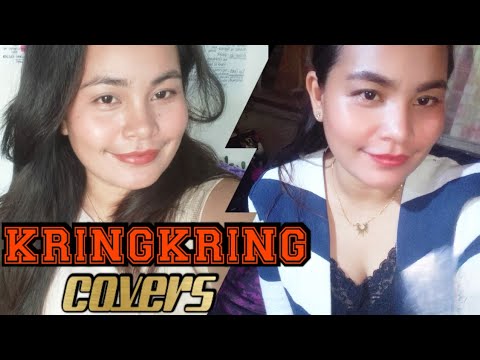 WE COULD HAVE IT ALL - MAUREEN McGOVERN | Kringkring Covers