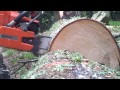 Motosierra Husqvarna 288XP | Video