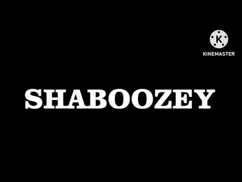 Shaboozey & David Guetta: A Bar Song (Tipsy) (Remix) (PAL/High Tone Only) (2024)