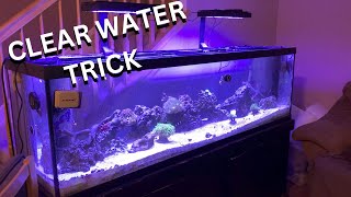 How to Get Crystal clear saltwater aquarium water