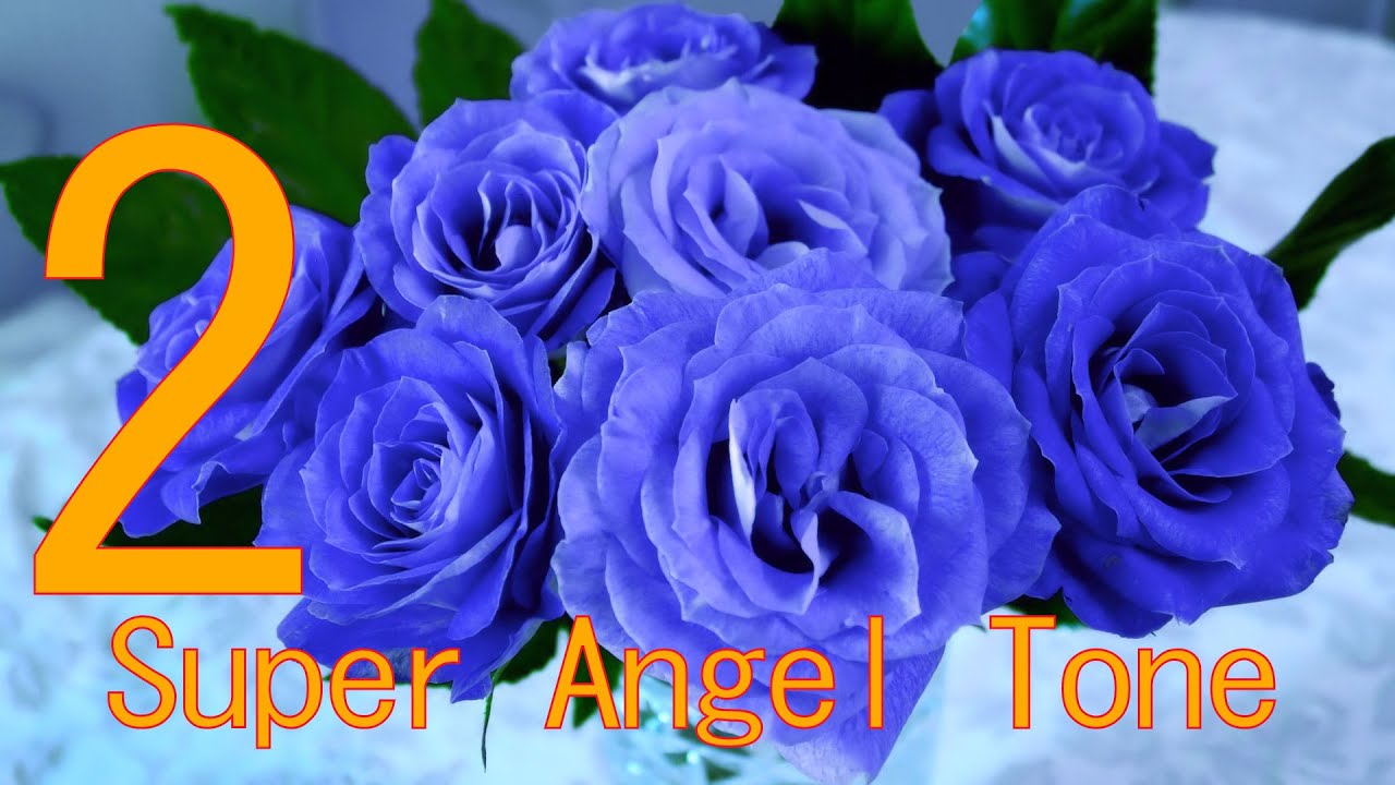 2 本物の奇跡が起きるミラクルサウンド スーパー エンジェルトーン 幸せをあなたに ソルフェジオ 周波数 全部入り＋エンジェルナンバートーン　A=432Hz