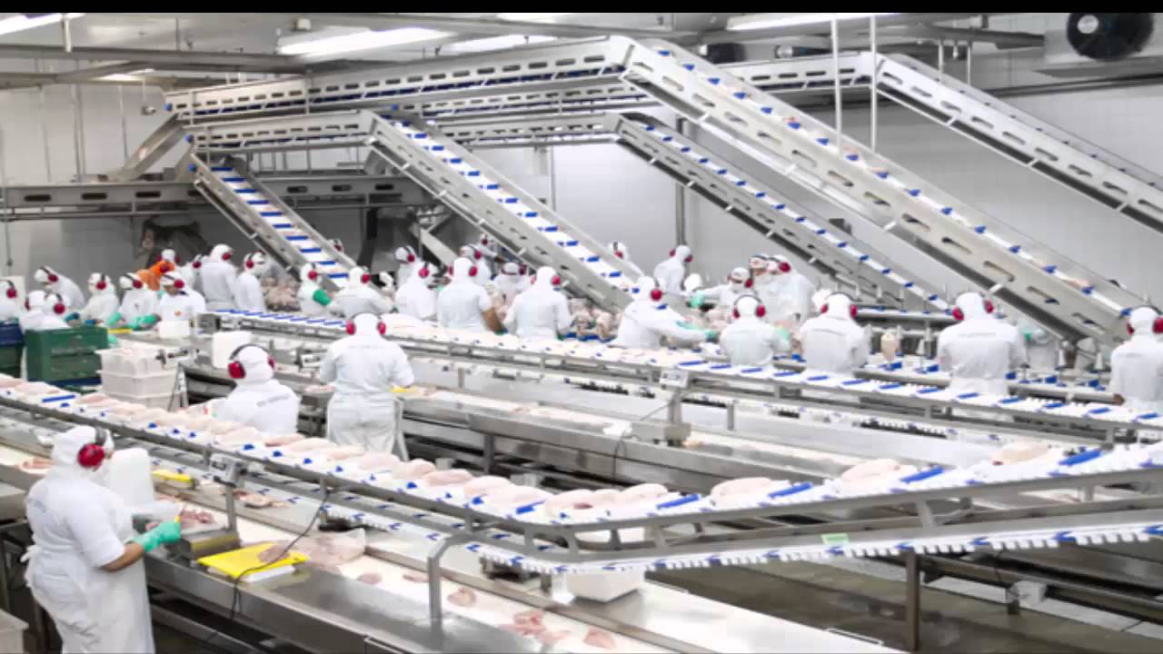 processos de manufatura