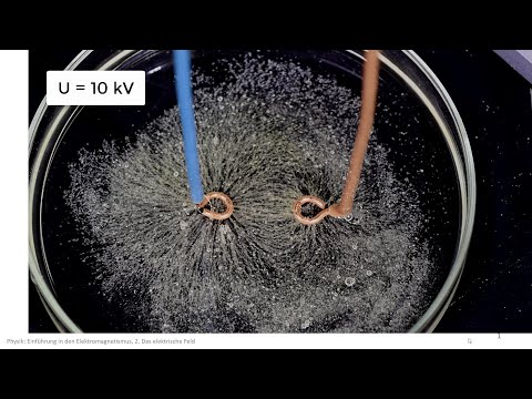Elektromagnetismus Experiment: Elektrisches Feld von Punktladungen, parallelen Leitern, im Griess