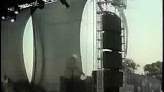 Taconeandole. Video 01