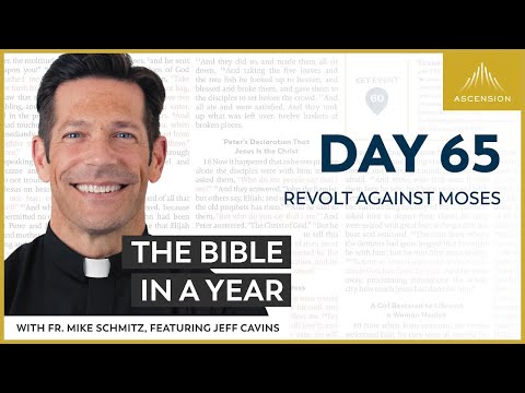 Day 65: Revolt Against Moses — The Bible in a Year (with Fr. Mike Schmitz)