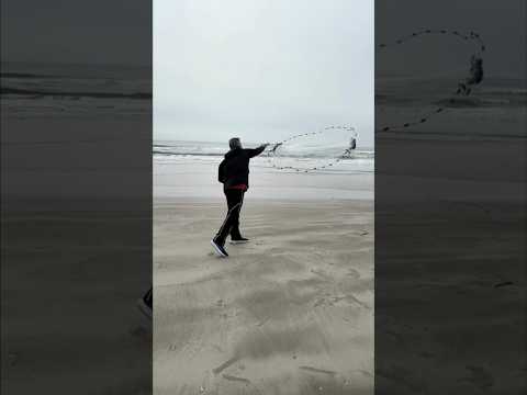 Easy way to learn how to throw a castnet #bait #fishing #castnet