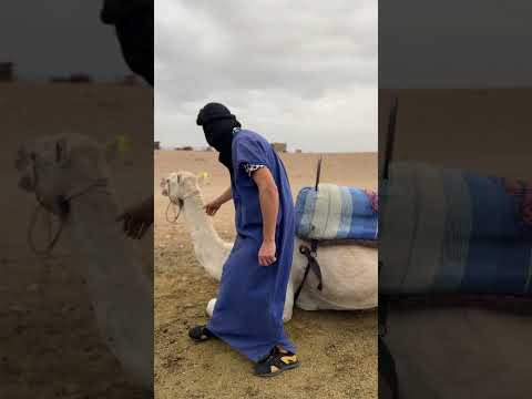 I wanted to count the teeth, the result was disgusting 🤮 #morroco