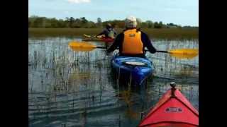 preview picture of video '2012 Kayaking South Carolina's Low Country.mov'