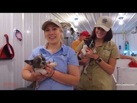 Kennel Tour 38