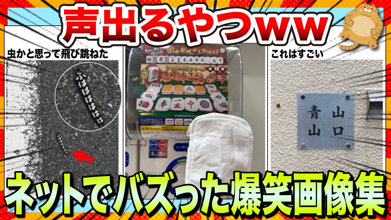 【🔥爆笑】憂鬱な日曜日の夜を笑いで吹き飛ばそうwwネットで大バズりした爆笑画像集www【2ch】【5ch】【ゆっくり解説】【コメ付き】【面白画像】