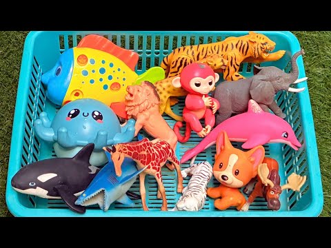 Jungle Heroes Dive Deep: A Fun Learning Surprise with Zoo and Sea Animals