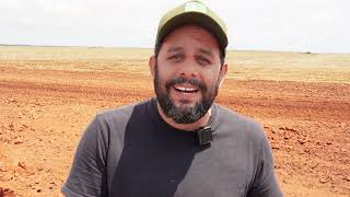 Soybean producer in Mato Grosso plants at the limit of moisture in a challenging harvest | Agro P...