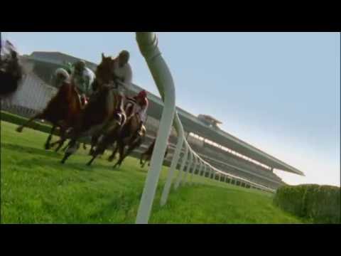 Camelot Kitten, Converge, Dressed in Hermes Headline Pennine Ridge