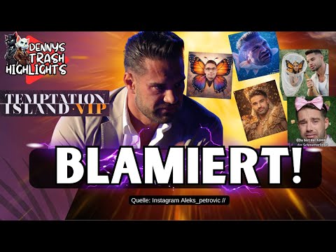 🦋 BLAMIERT! Netz LACHT über Aleks Petrovic! ALLE STATEMENTS zum König der SCHMETTERLINGE!