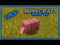 Everything You Need To Know About The Armadillo Easy Minecraft Mob Guide
