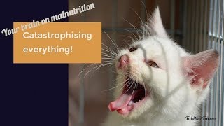 Your Brain on Malnutrition