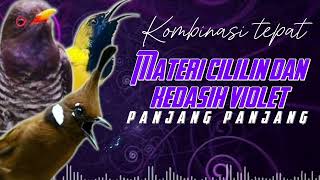 Download lagu BARU‼️ MASTERAN SOGON KOMBINASI CILILIN DAN KEDASIH VIOLET #sogon #sogongacor #sogokontong mp3 Download lagu BARU‼️ MASTERAN SOGON KOMBINASI CILILIN DAN KEDASIH VIOLET #sogon #sogongacor #sogokontong mp3