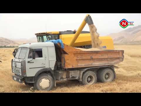 Ailə təsərrüfatları - 07.10.2022