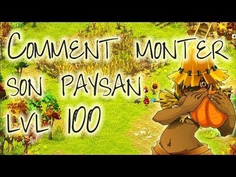 comment monter rapidement paysan dofus