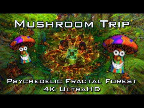 Mushroom Trip - Psychedelic Fractal Forest Visuals 4 DMT LSD Psilocybin - 4K UltraHD DeepDream