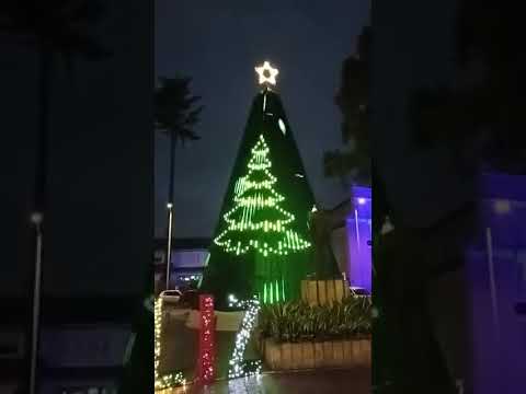 Cajica (Cundinamarca). Hermosa Noche. m.@.@🦇