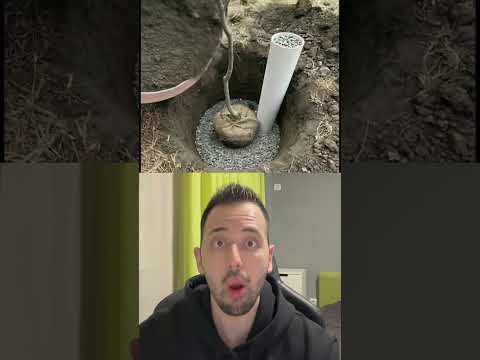 Γεμίζουν τις ερήμους με δάση!🌳 #shorts