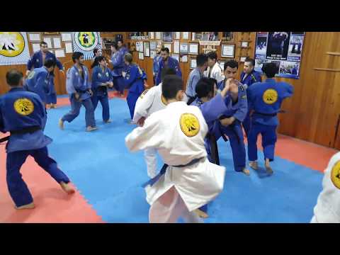 Real Aikido Demonstration 2019🥋🇦🇿