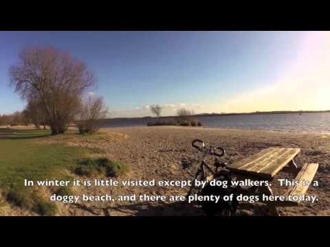 Zeewolde and the Horsterwold